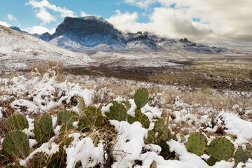 Chisos Mountains snowy desert Big Bend NP TX USA