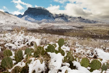 Fotobehang Chisos Mountains snowy desert Big Bend NP TX USA © PiLensPhoto