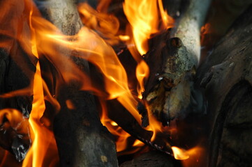 Flames power burn fire on nature