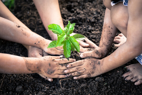 Children and parent hand planting young tree on black soil together as save world concept in vintage color tone