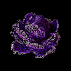 Violet flower. Lacy. Vector illustration.