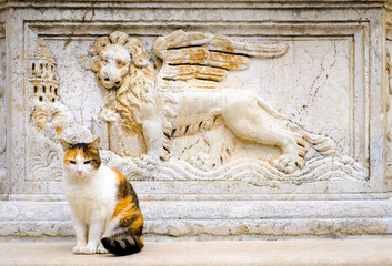 venezian lion