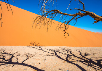 Fototapeta na wymiar Dead Camelthorn Trees and red dunes in Sossusvlei, Namib-Naukluft National Park, Namibia
