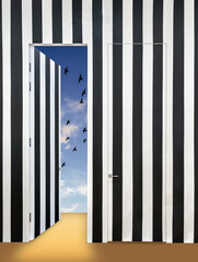 Fototapety  Nowoczesne wnętrze ze ścianą w czarno-białe paski. Niewidzialne drzwi i jedne otwarte drzwi z widokiem na niebo z ptakami i jasnymi chmurami.