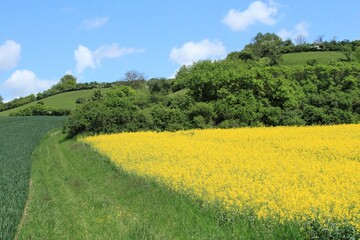 Obraz premium Fränkische Landschaft im Mai