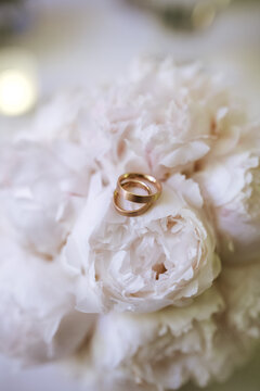 Wedding rings on pink roses