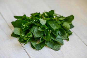 Fresh juicy mint leaves on a white wooden background