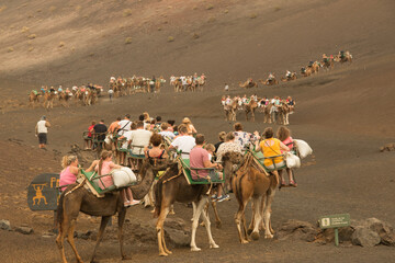 Camel excursion on the island of lanzarote, canary islands, spain