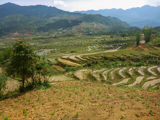 TERRACED RICE FIELDS, LANDSCAPE OF SA PA , NORTHERN VIETNAM, APRIS 2017