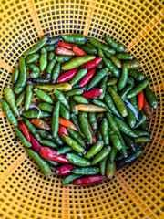 Hot Chili Peppers in a Basket