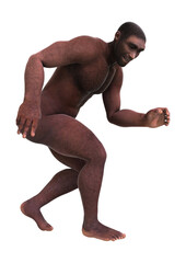 3D Rendering Homo Erectus on White