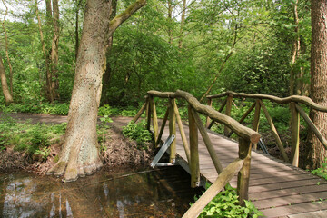 Holzbr&uuml;cke, Wanderweg, Wandern im M&auml;rkisch oder Land, Bundesland Brandenburg, Deutschland