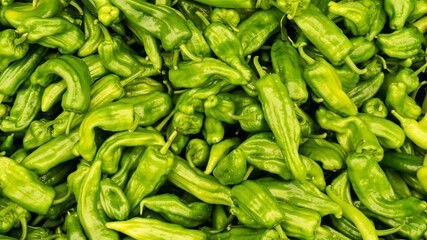 green peper chili. background