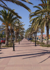 Fototapeta na wymiar City street with palm trees