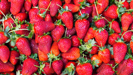 red strawberry. background