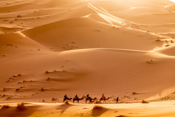 Fototapeta na wymiar Kamelkarawane zieht durch die Wüste Sahara 