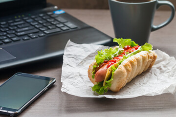 quick lunch of hotdog 