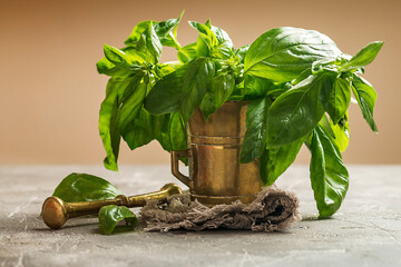 Fresh green basil in old metal mortar