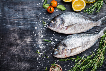Fresh uncooked dorado
