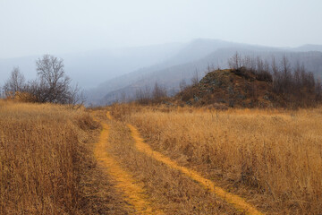 Fototapeta na wymiar Autumn yellow path leading to foggy mountains, perspective view