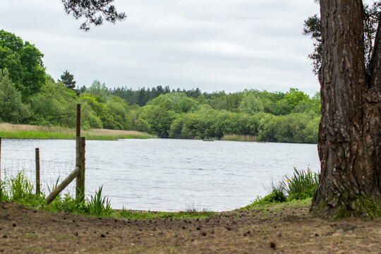 Pond Side Grey