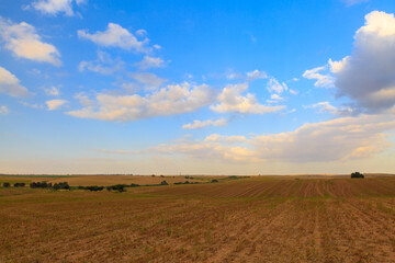 Wide field with white clouds at sunrise