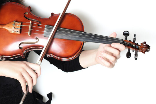 Violin player hands. Violinist