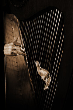 Harp strings close up hands