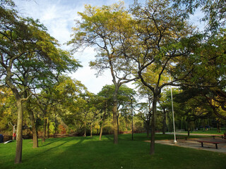 Autumn, Variety Colors of Leaves on trees in Toronto Island Natural Park, Ontario, Canada