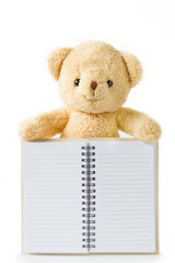 Bear doll standing touch notebook on white background isolated copyspace.