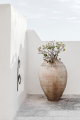 minimalism vase wall sky background