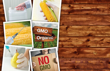 Genetic modification, science and technology in agriculturre, ph