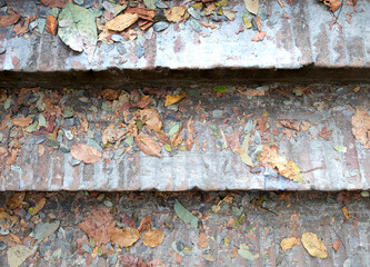 dried leaves on grunge gray cement steps. texture background block stairs.