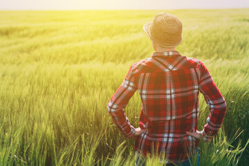 Concept of responsible farming, female farmer in cereal crops field