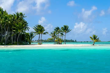 Foto op Plexiglas bora bora tropisch strand © vician_petar
