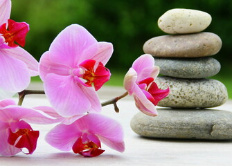 Fototapeta na wymiar orchidée rose,empilement de galets,ambiance zen sur fond bois 