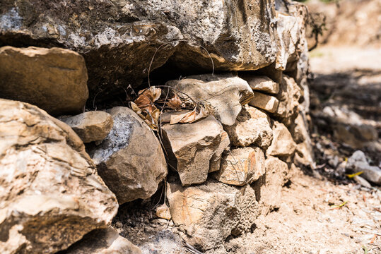 vecchio muro di pietre a secco con sterpi