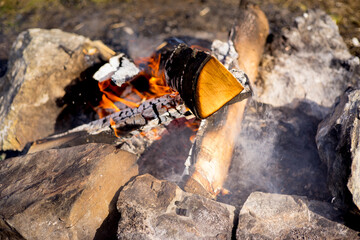 Family is on a picnic