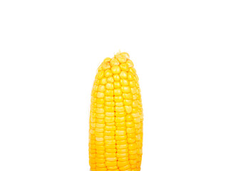 sweet corn on white background