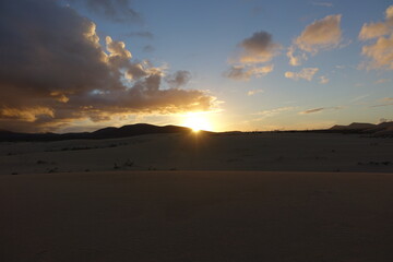 The natural Park in Corralejo the canary-islands Spain