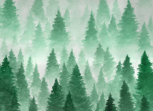 Hand drawn watercolor illustration. Landscape of cloudy, mystic , coniferous forest on ye mountaind. Cloud, fog, trees, cold, winter © Юлия Гришина