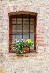 Fototapeta na wymiar House window with a blooming flowers