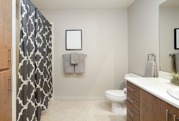 Modern bathroom with patterned shower curtains