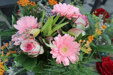 pâquerettes et roses