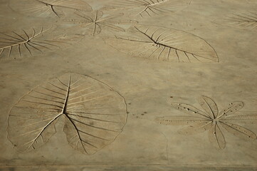 Feuilles incrustées dans du béton