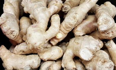 Fresh Ginger Root