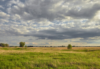 Landscape with green grass with beautiful clouds in the background in a bright sunny day
