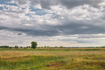 Fototapeta premium Landscape with green grass with beautiful clouds in the background in a bright sunny day
