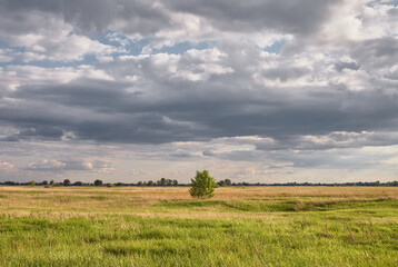 Landscape with green grass with beautiful clouds in the background in a bright sunny day
