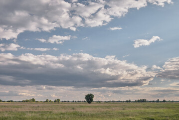 Landscape with green grass with beautiful clouds in the background in a bright sunny day